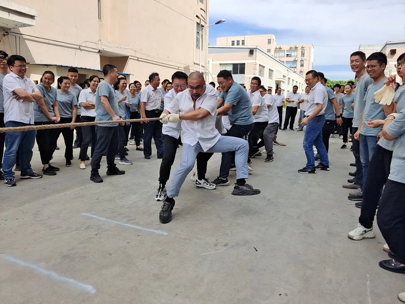 1679117486671505.webp 1679117486671505.webp